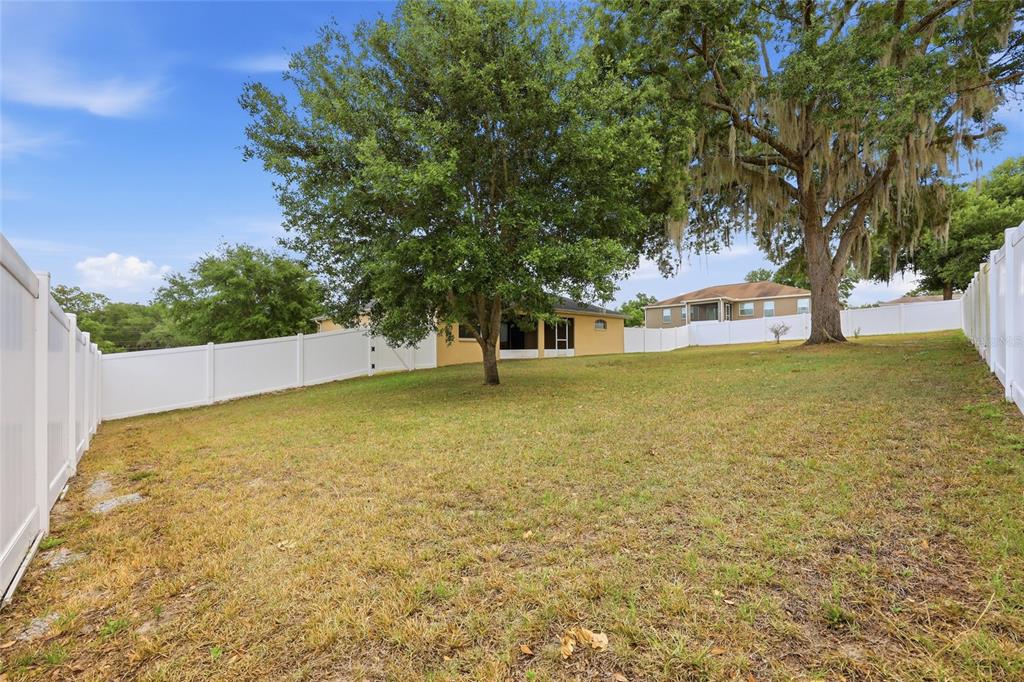 306 Stone Point Lane Lady Lake, FL 32159 - Photo 33 of 39 a view of a yard with a tree