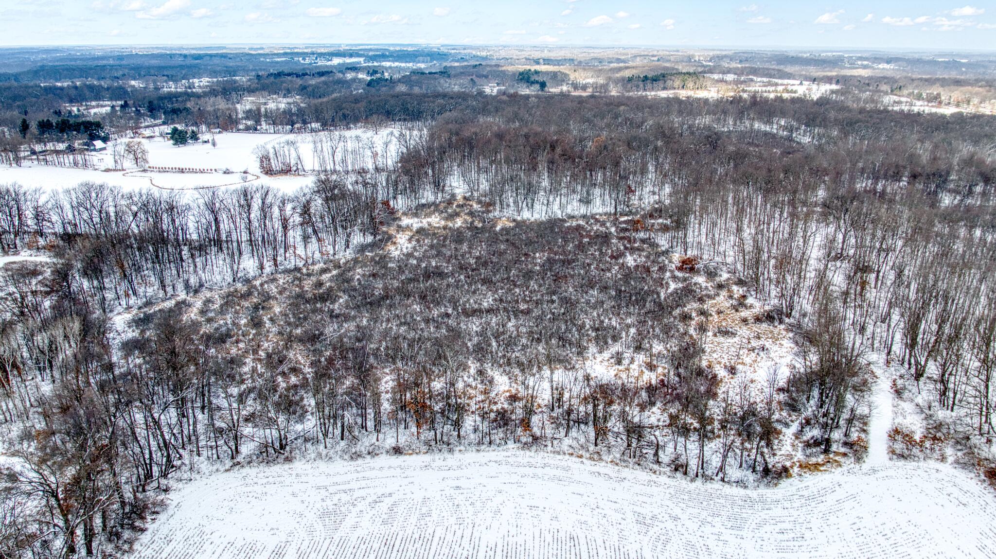 40 West Berry Road Jackson, MI 49201 - Photo 19 of 20 19-web-or-mls-DJI_0680_HDR