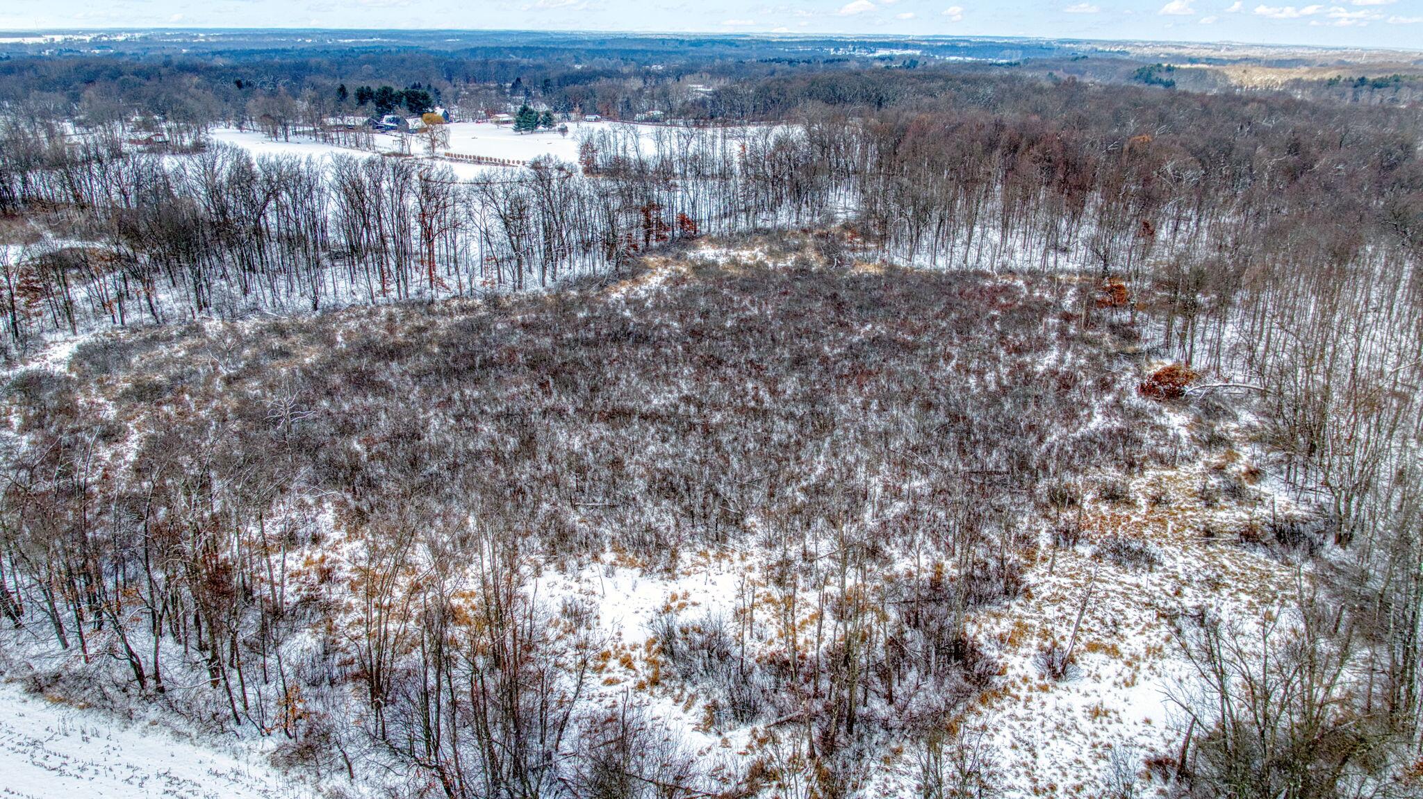 40 West Berry Road Jackson, MI 49201 - Photo 20 of 20 20-web-or-mls-DJI_0683_HDR