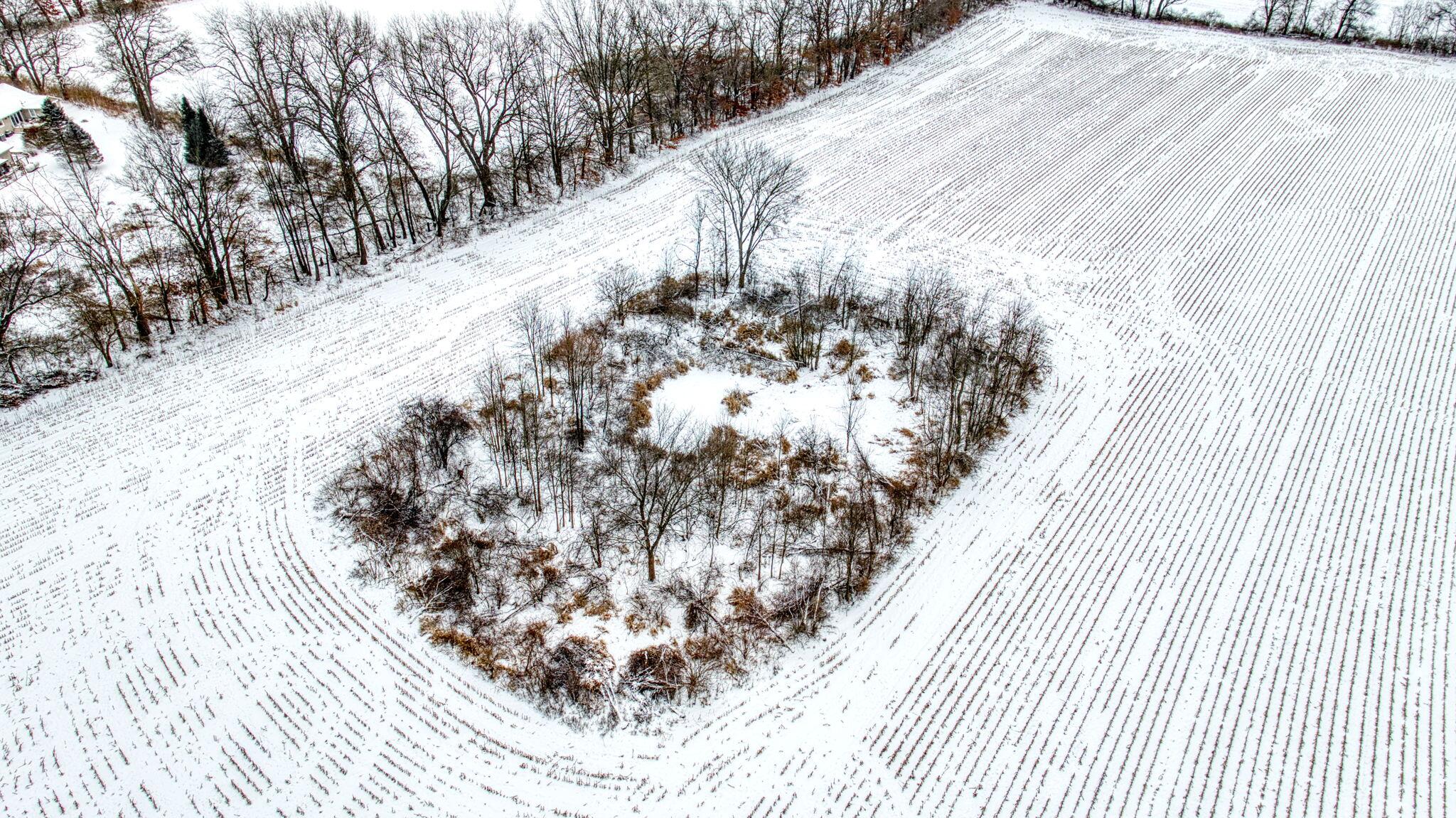 40 West Berry Road Jackson, MI 49201 - Photo 6 of 20 6-web-or-mls-DJI_0552_HDR
