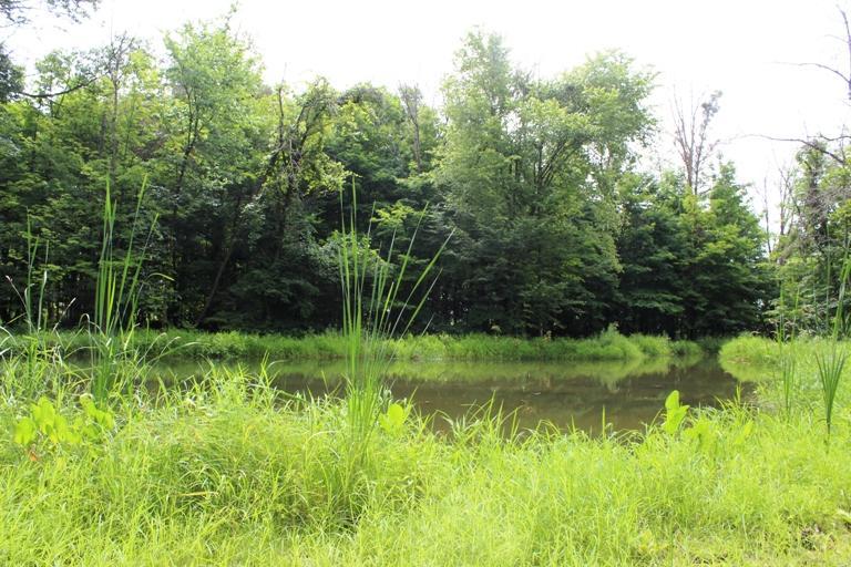 6951 Condit Road Centerburg, OH 43011 - Photo 1 of 48 Gallery Image 1