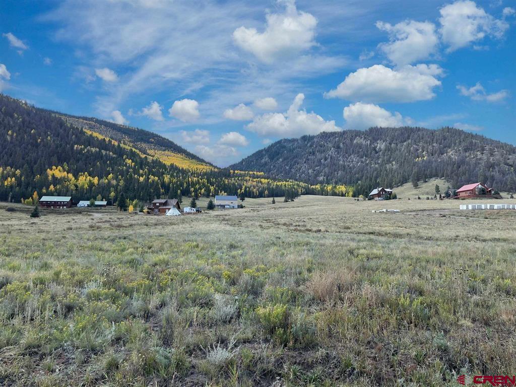 362 Diamond Road Creede, CO 81130 - Photo 3 of 3 a view of large trees and a covered with green space