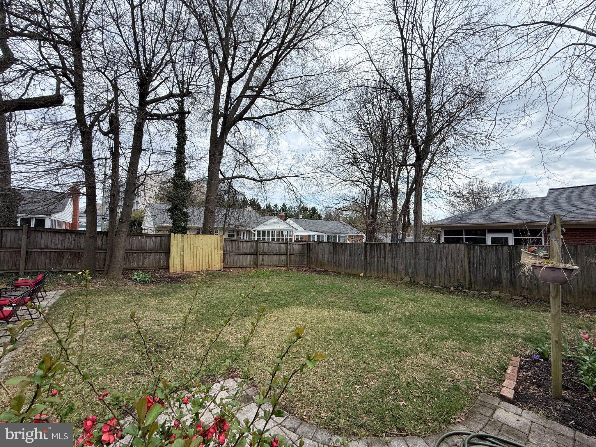 9709 Saxony Road Silver Spring, MD 20910 - Photo 45 of 47 a view of backyard with green space