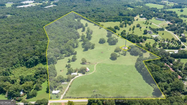 a view of a yard with a tree