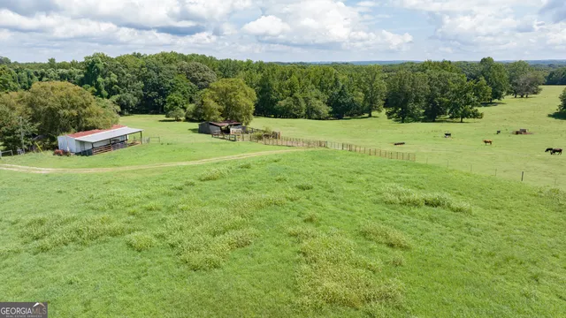 a view of a field with an trees