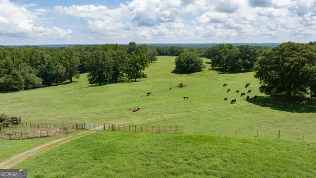 a view of a lake with a mountain