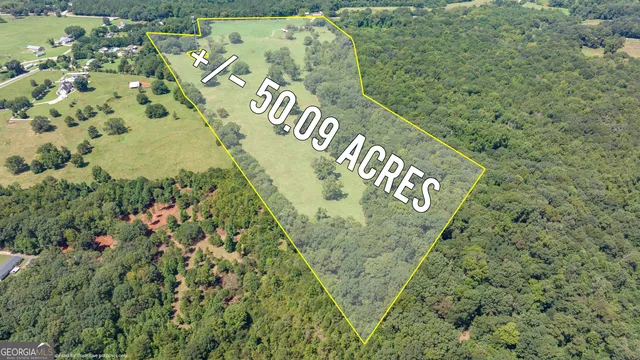 a view of a green yard with lots of bushes