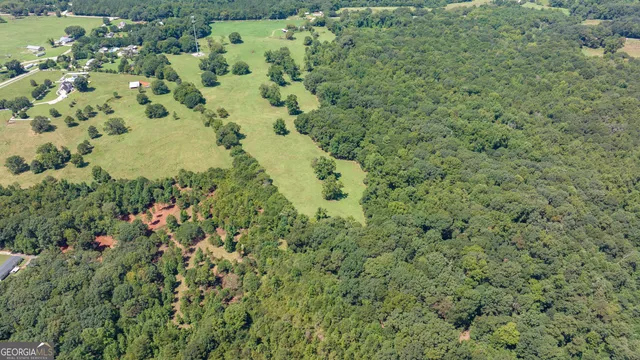a view of a green field with lots of bushes