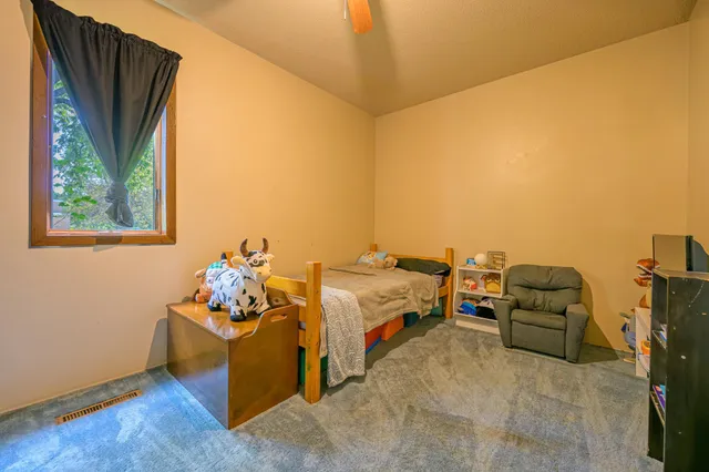 $100,000 | 141 3rd Street East, Hector, MN 55342