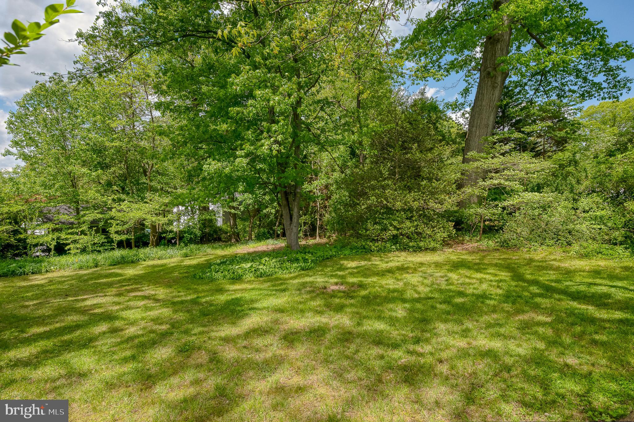 2911 Nelson Lane Fallston, MD 21047 - Photo 84 of 85 a view of a field with a trees