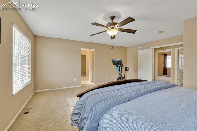 844 Diamond Rim Drive Colorado Springs, CO 80921 - Photo 21 of 36 Gallery Image 21