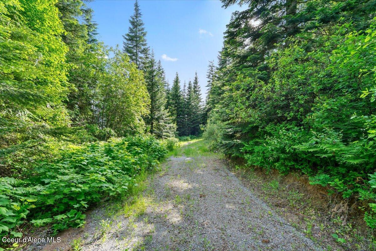 17378 North Freddi Road Rathdrum, ID 83858 - Photo 67 of 83 67-View