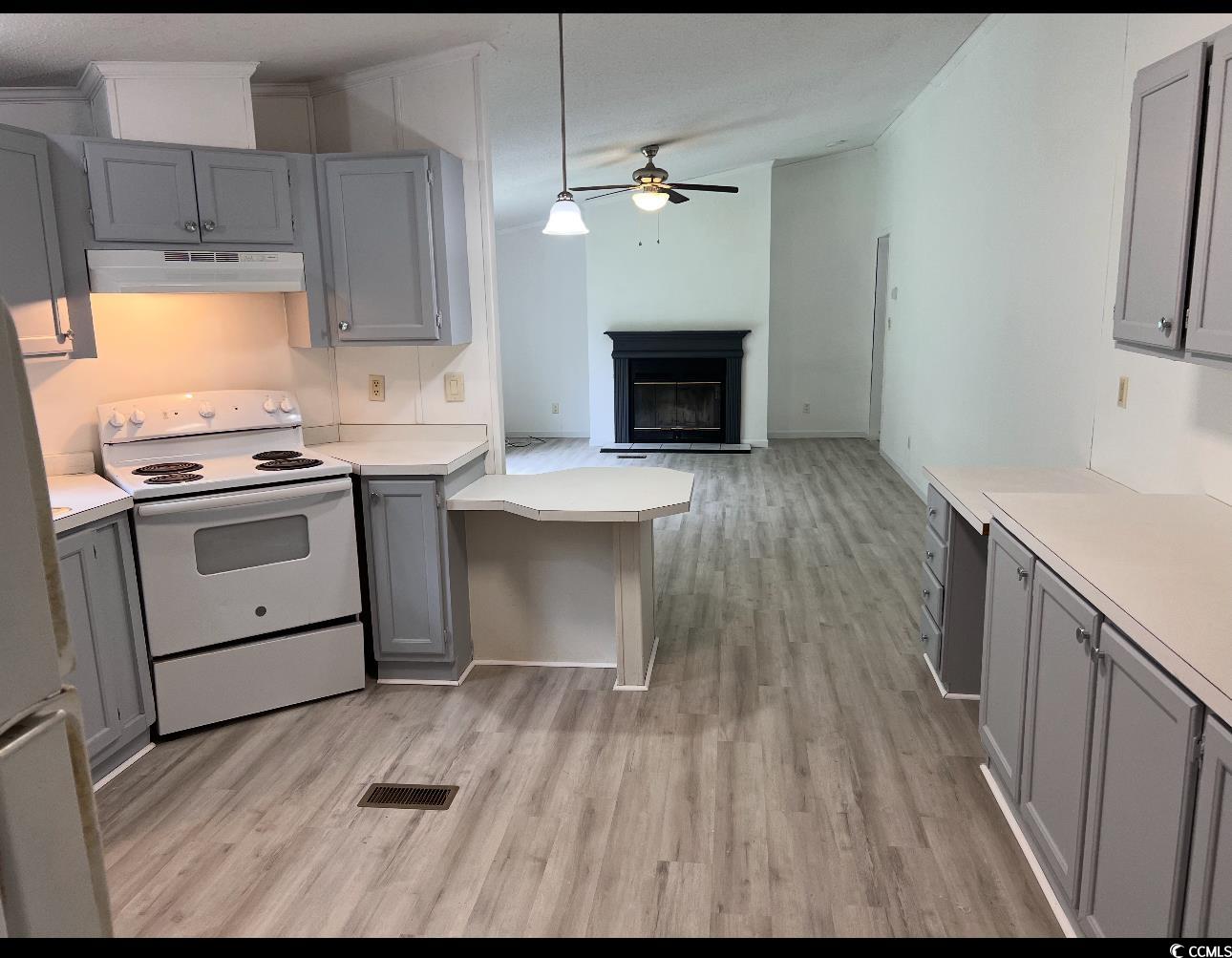 104 St Luke Church Road Winnsboro, SC 29180 - Photo 2 of 14 Kitchen featuring electric range, gray cabinetry,