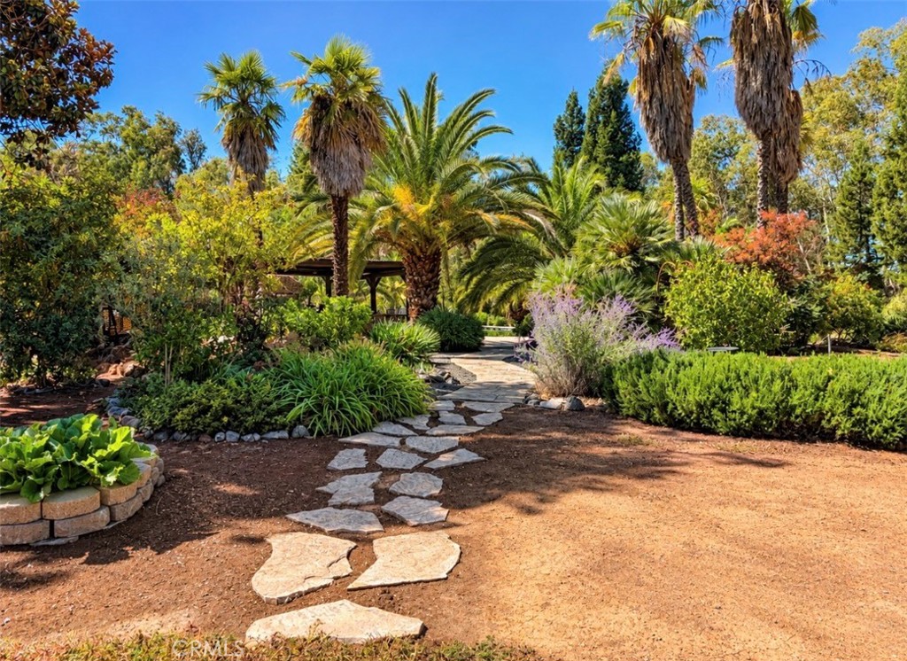 3125 Ranch Court Lakeport, CA 95453 - Photo 7 of 75 Garden area