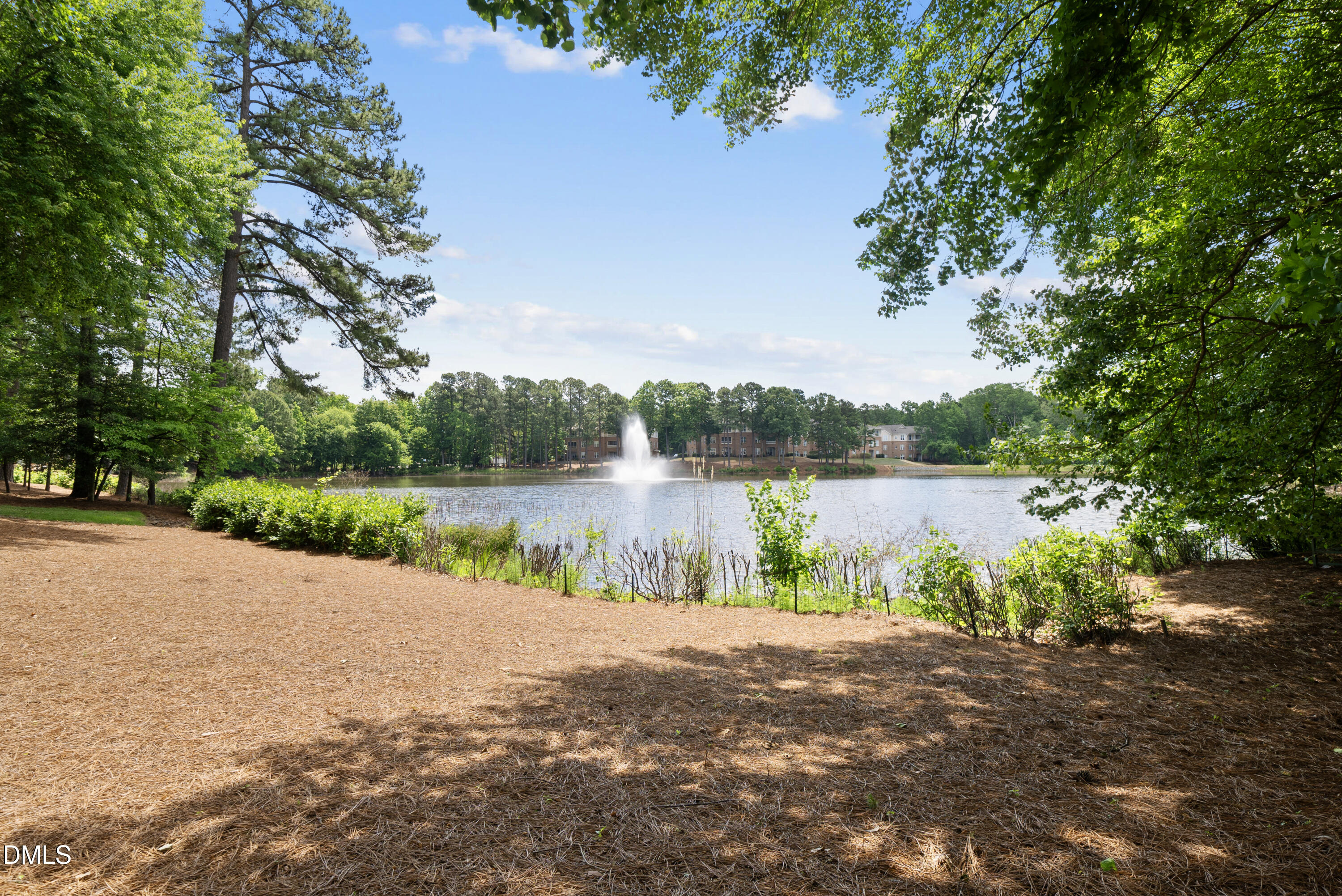 8110 Lloyd Allyns Way Raleigh, NC 27615 - Photo 60 of 66 DSC07261