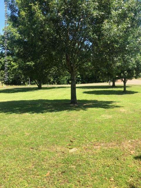 1985 Holly Springs Road Hernando, MS 38632 - Photo 28 of 28 IMG_1097