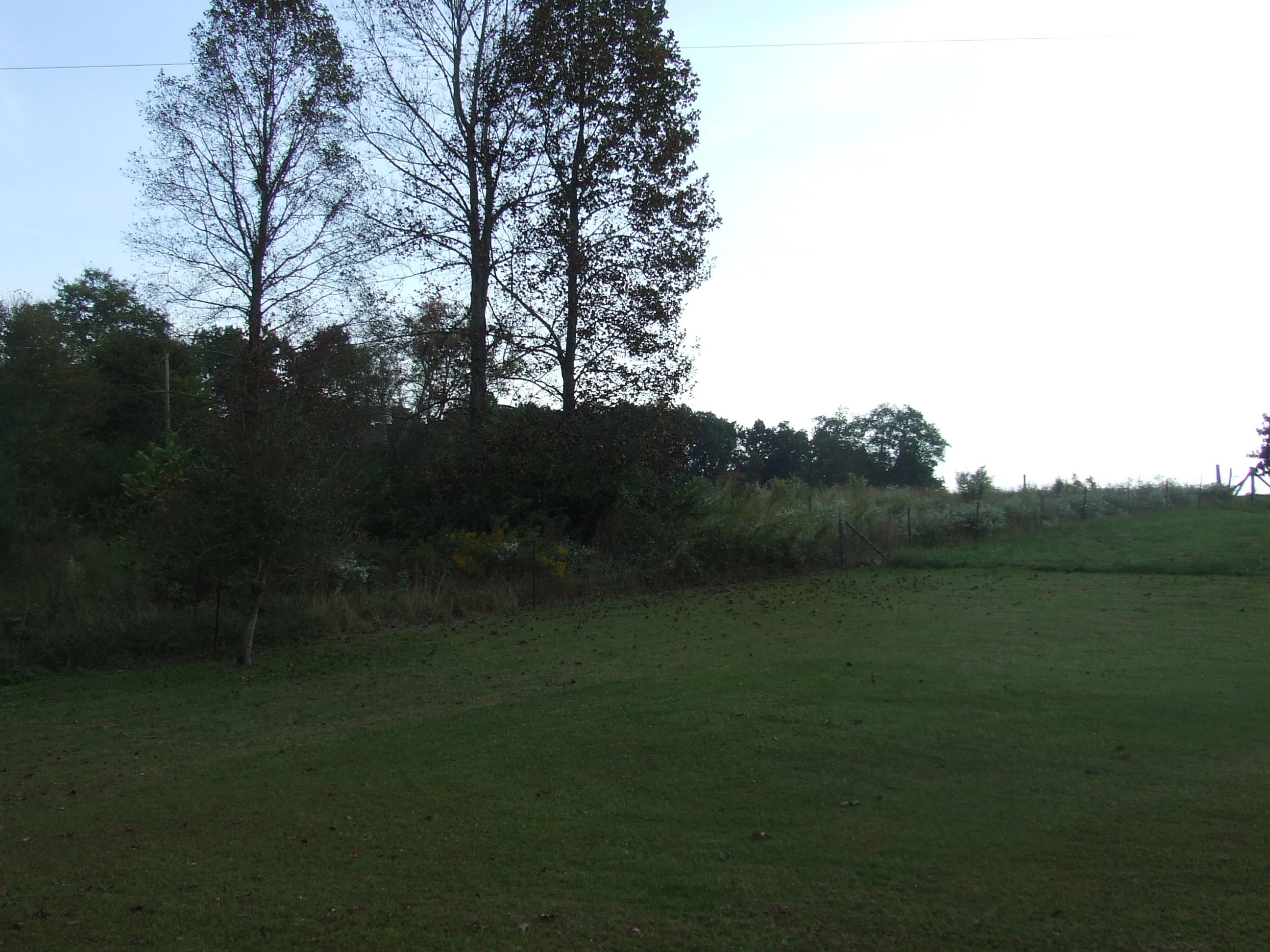 Tbd Walt Reed Road Grandview, TN 37337 - Photo 2 of 7 tbd (2)