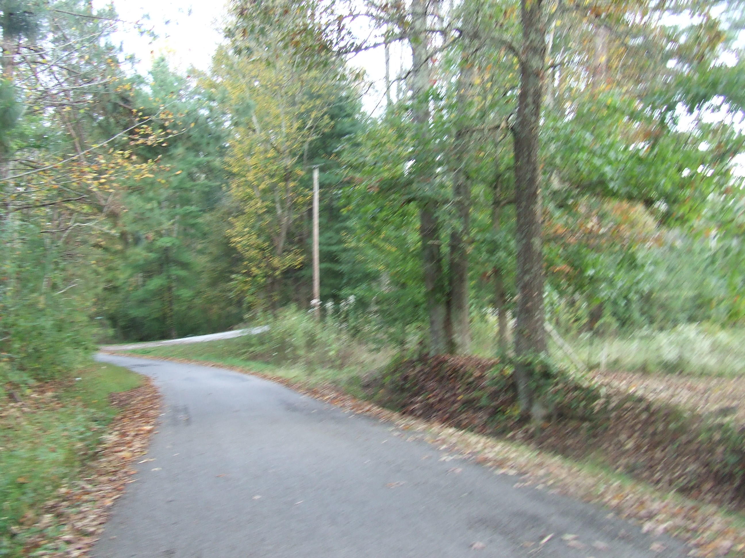 Tbd Walt Reed Road Grandview, TN 37337 - Photo 3 of 7 tbd (3)