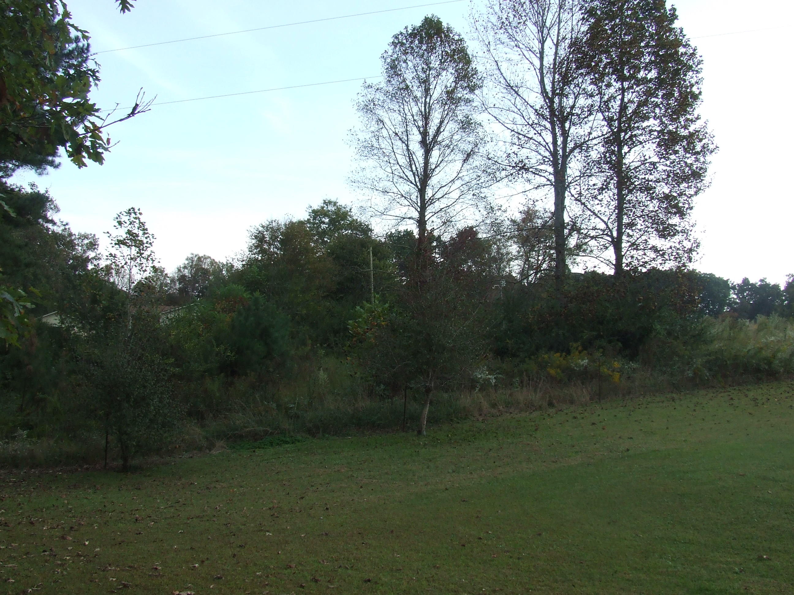 Tbd Walt Reed Road Grandview, TN 37337 - Photo 5 of 7 tbd (6)