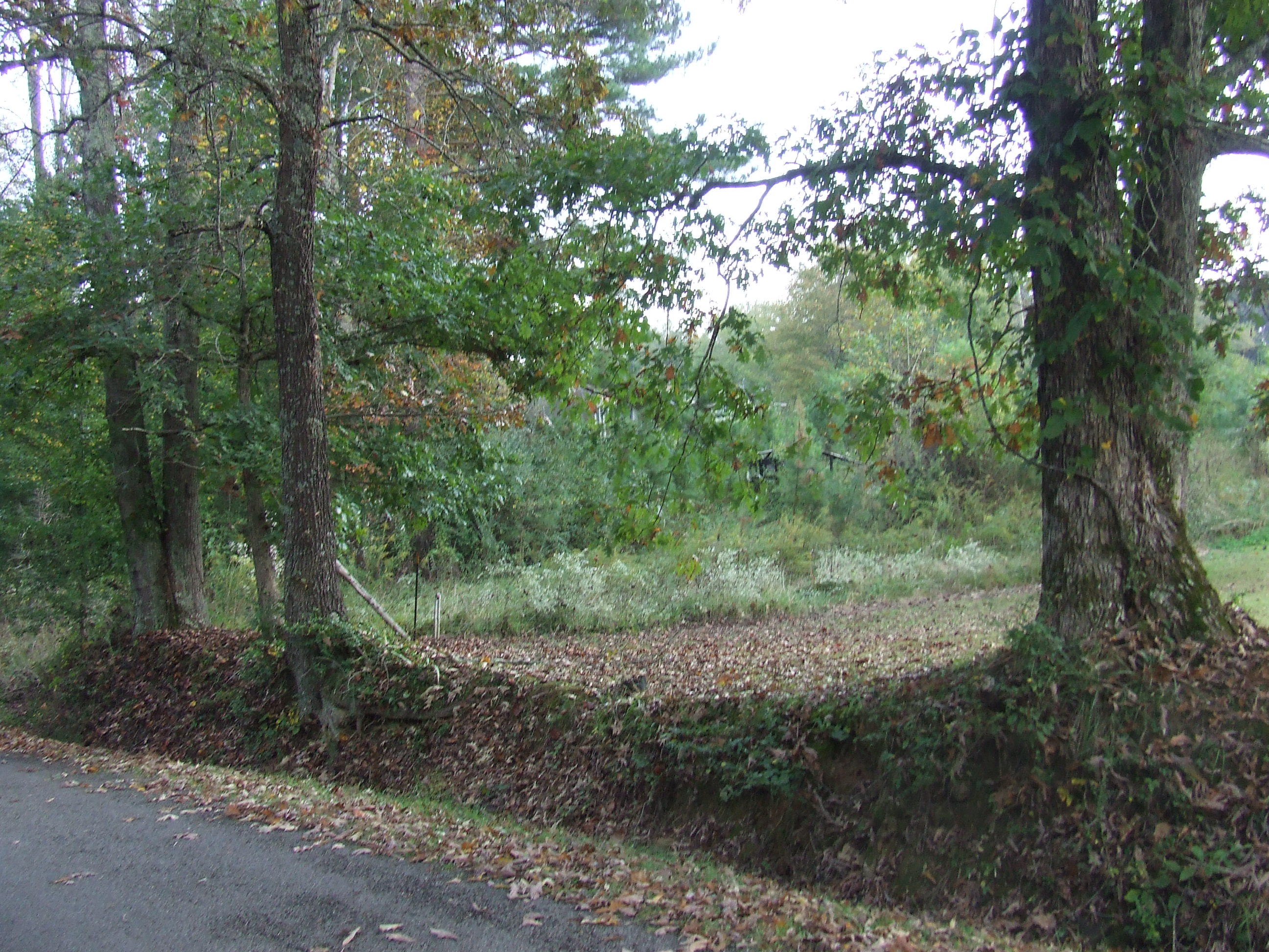 Tbd Walt Reed Road Grandview, TN 37337 - Photo 7 of 7 tbd