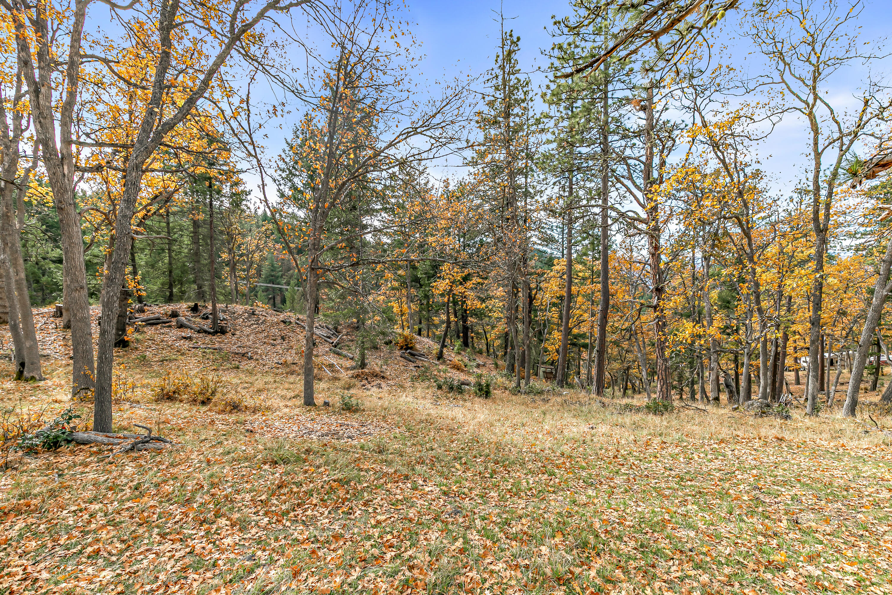 108 Baldy Creek Road Ashland, OR 97520 - Photo 21 of 23