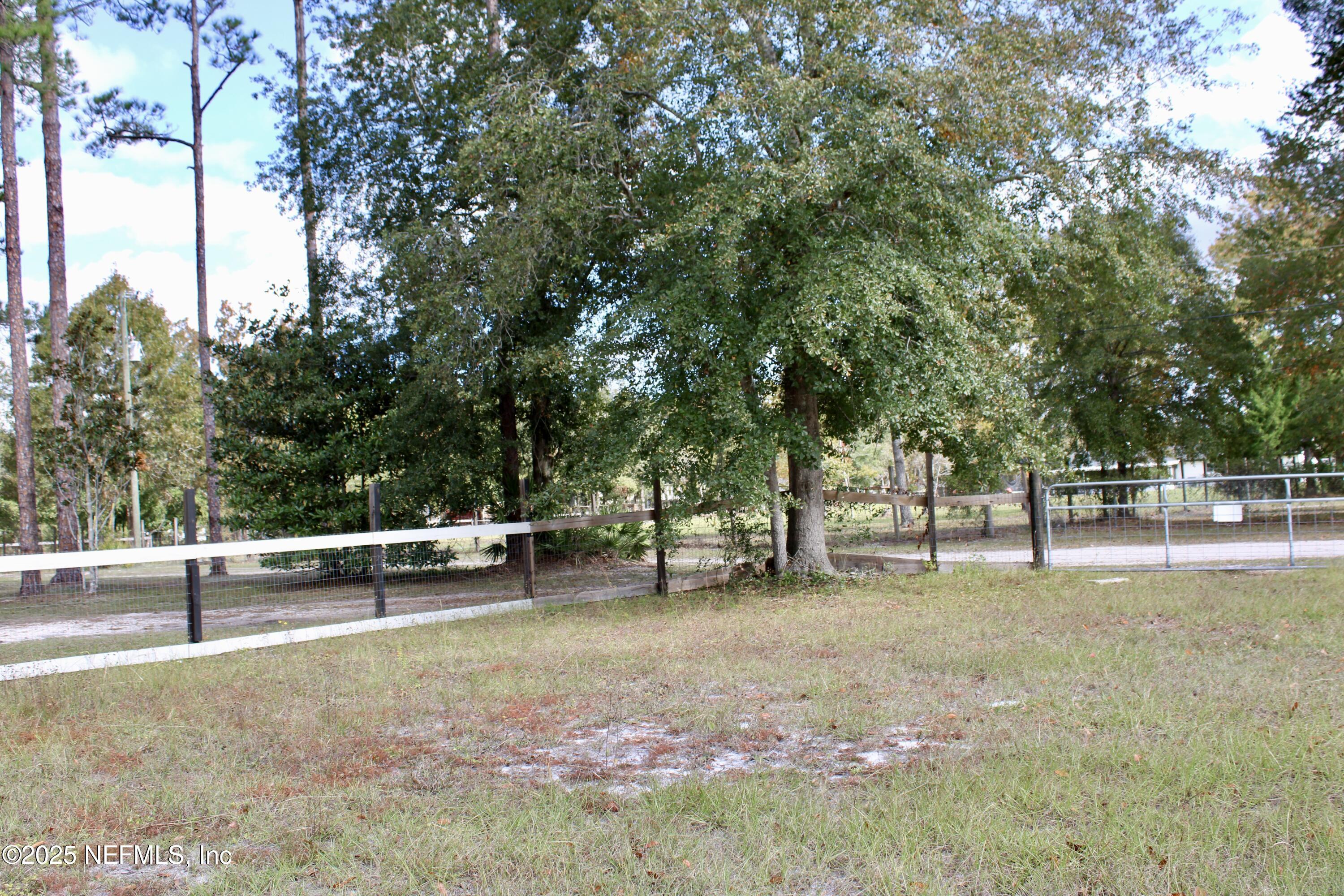 3990 Appaloosa Road Middleburg, FL 32068 - Photo 11 of 34 IMG_0253