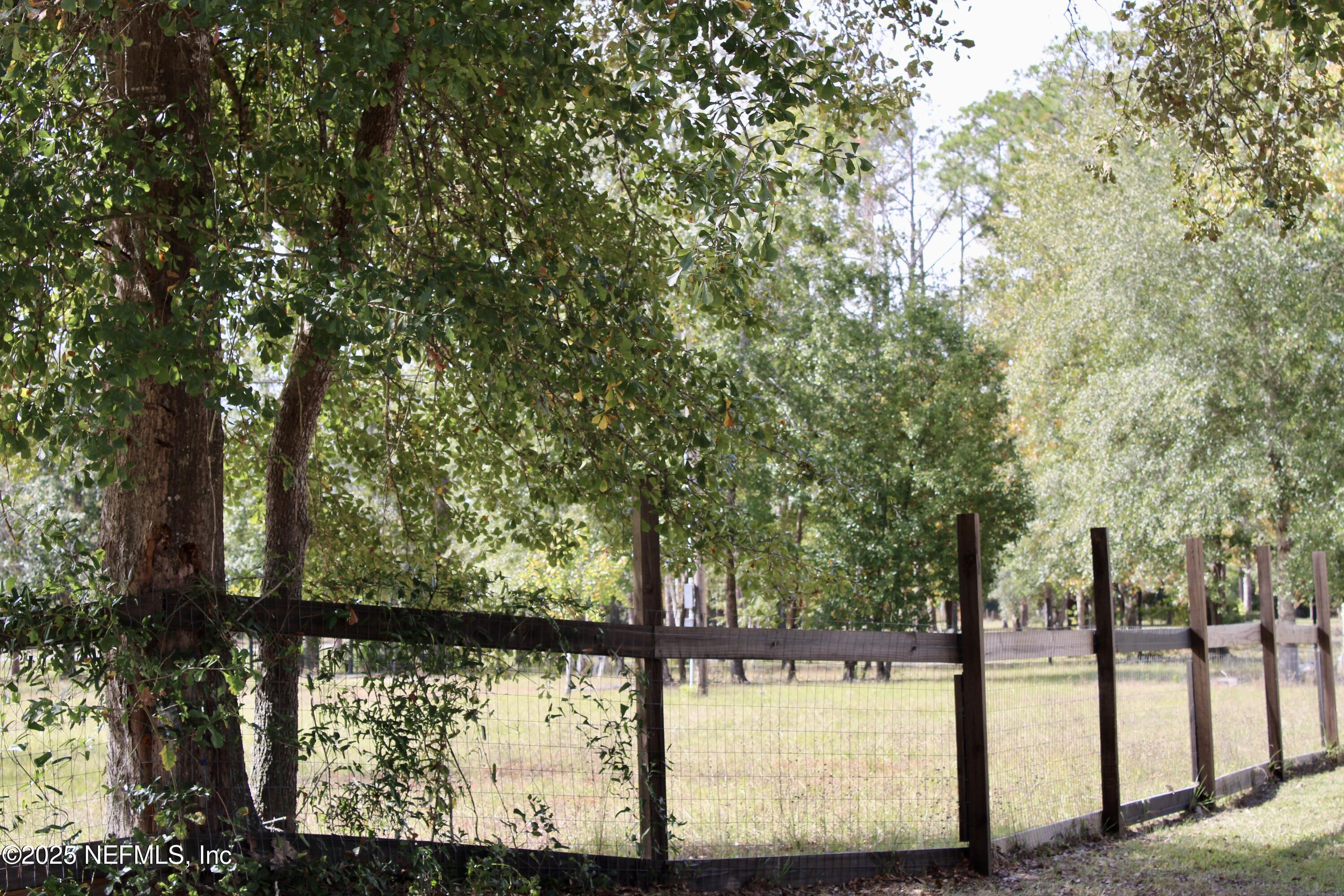 3990 Appaloosa Road Middleburg, FL 32068 - Photo 19 of 34 IMG_0245