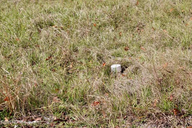 $150,000 | 3990 Appaloosa Road, Middleburg, FL 32068