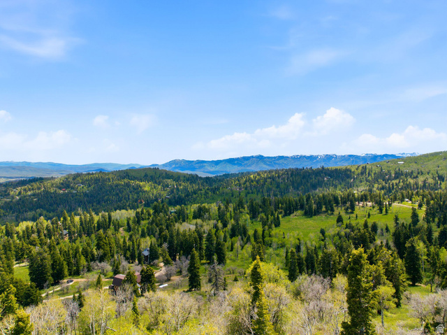 140 West Elk Road, Unit 140 Coalville, UT 84017 - Photo 5 of 29