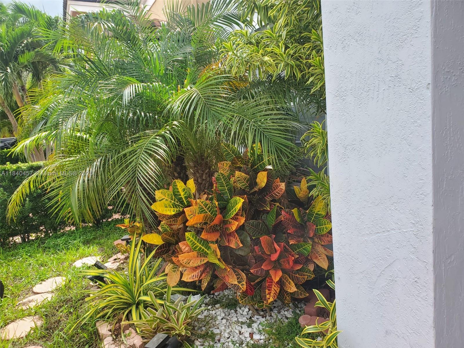 9982 Southwest 162nd Court Miami, FL 33196 - Photo 79 of 97 a view of a plant