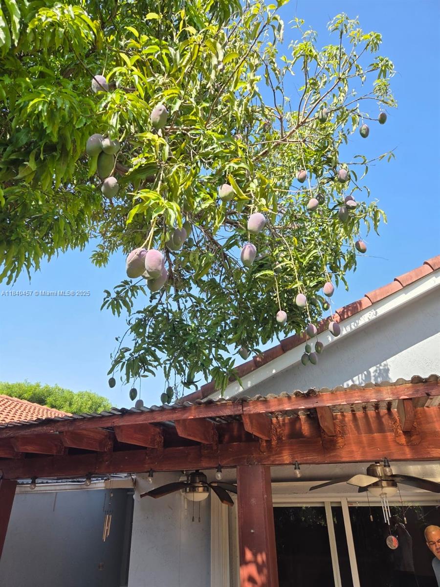 9982 Southwest 162nd Court Miami, FL 33196 - Photo 81 of 97