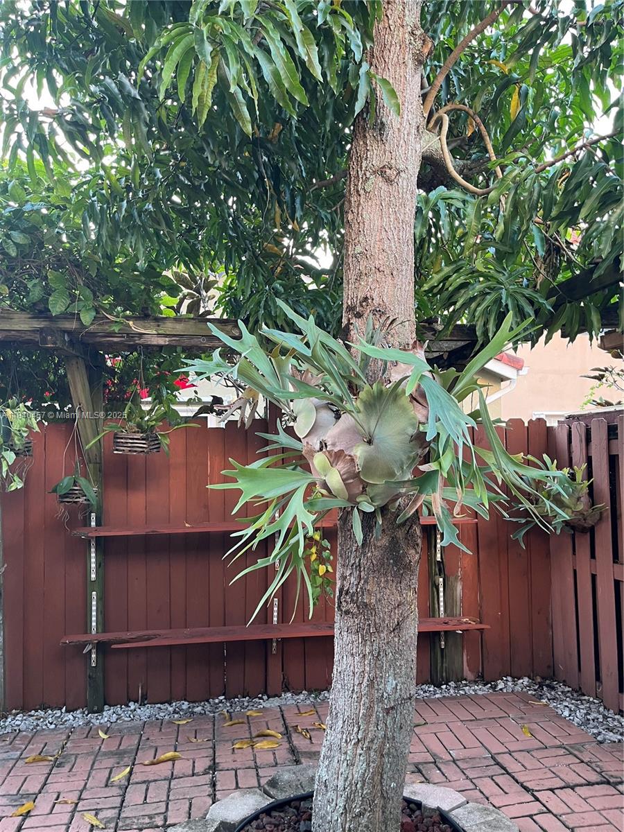 9982 Southwest 162nd Court Miami, FL 33196 - Photo 82 of 97 a backyard of a house with lots of green space