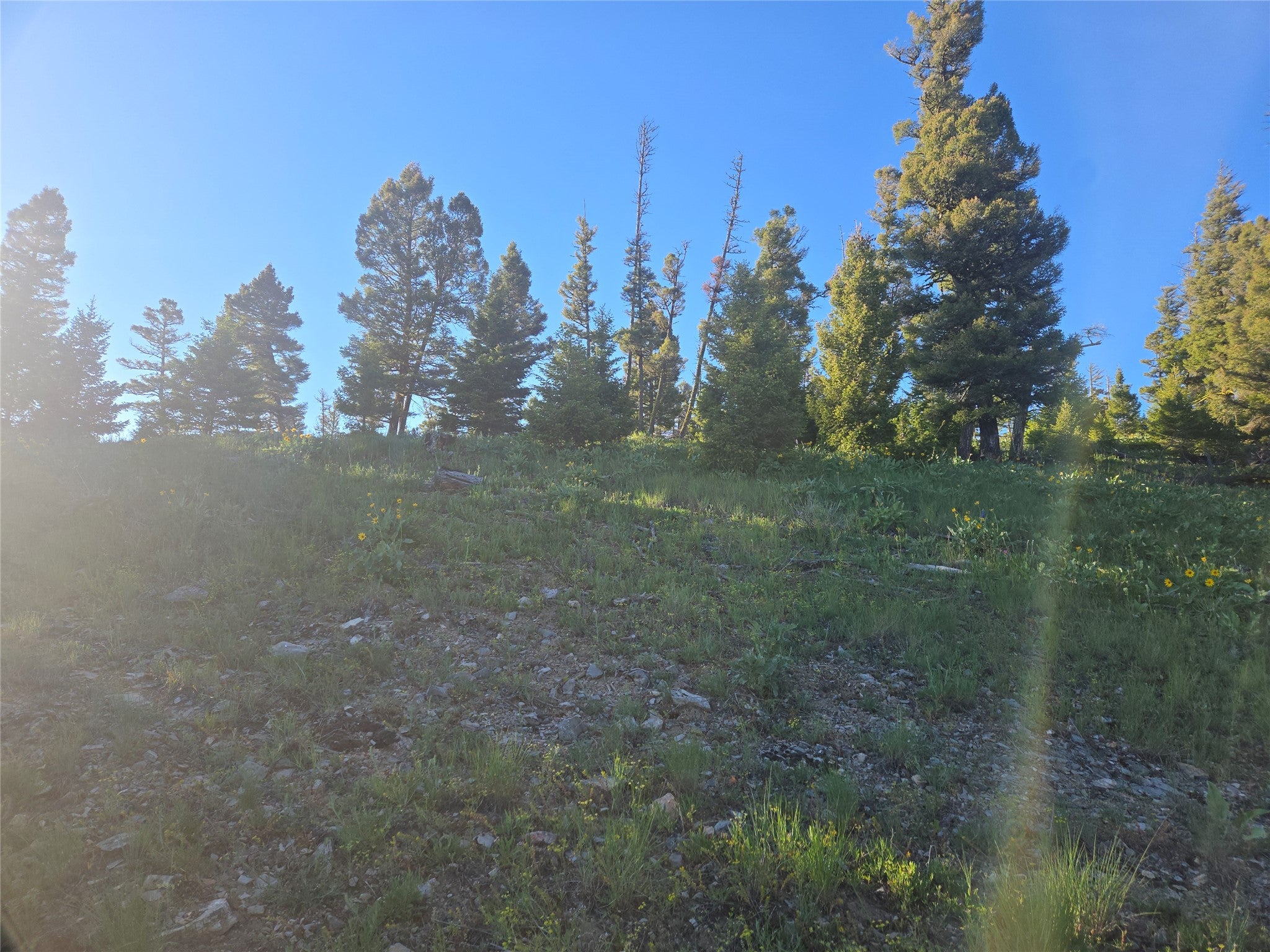 1 Big Sky Ridge Road Drummond, MT 59832 - Photo 6 of 13 Gallery Image 6