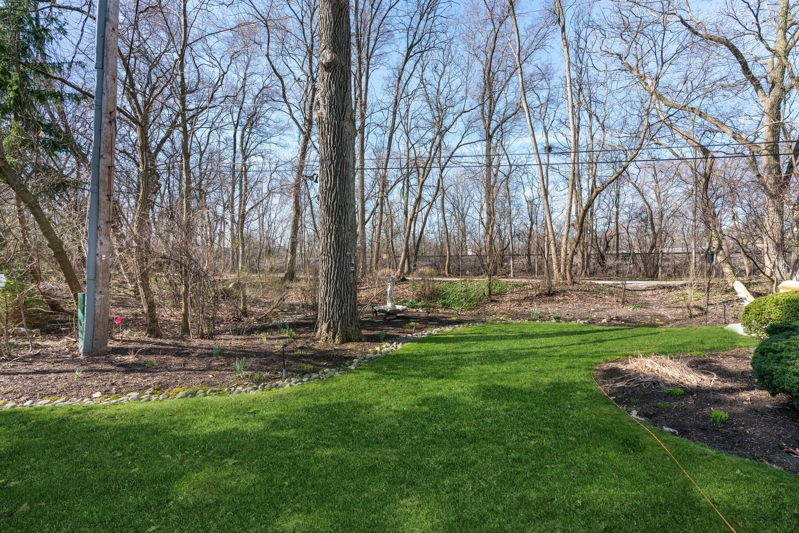 280 Sylvan Road Glencoe, IL 60022 - Photo 41 of 45 a view of outdoor space with trees