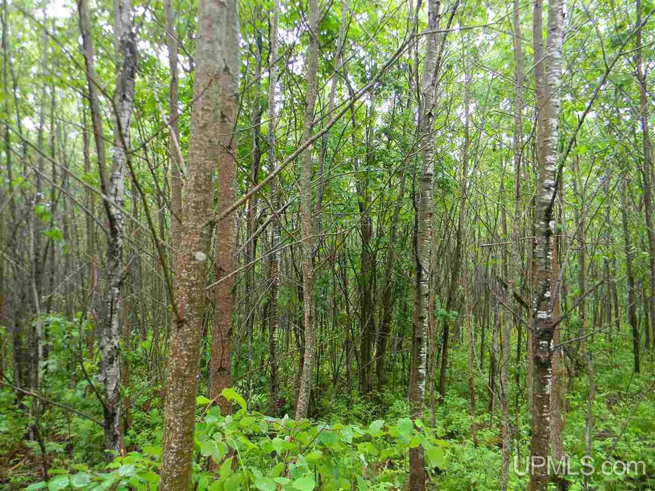 Tbd Off Sawyer Lake Road, Unit NESE Channing, MI 49815 - Photo 3 of 6