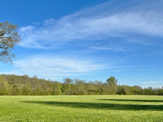 1207 Mooresville Road Culleoka, TN 38451 - Photo 35 of 38 Gallery Image 35