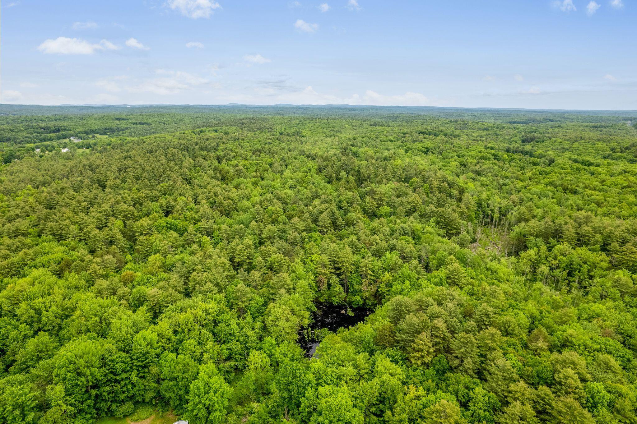 DJI_0371