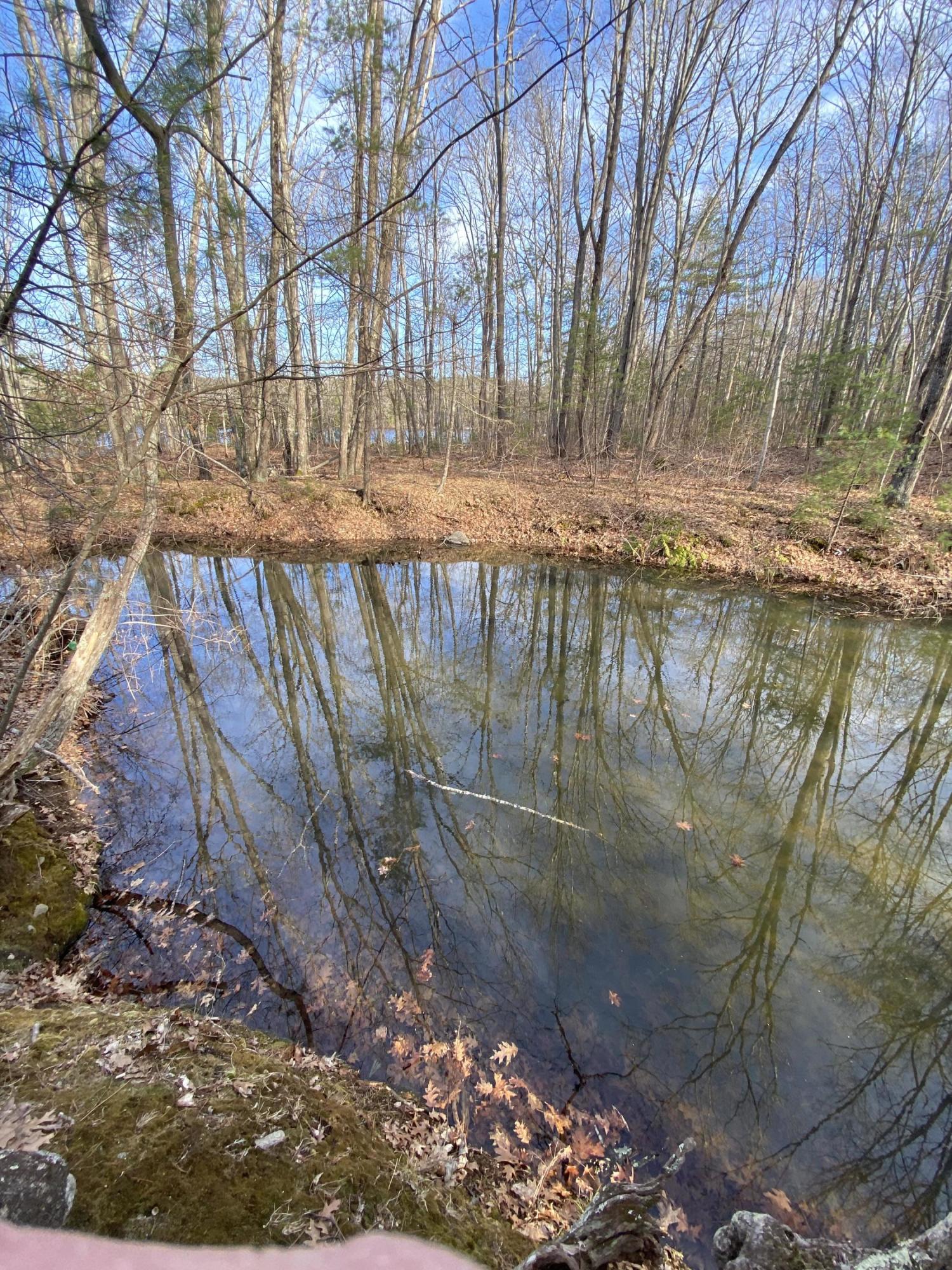 639 Arrowsic Road Bath, ME 04530 - Photo 18 of 67 small pond