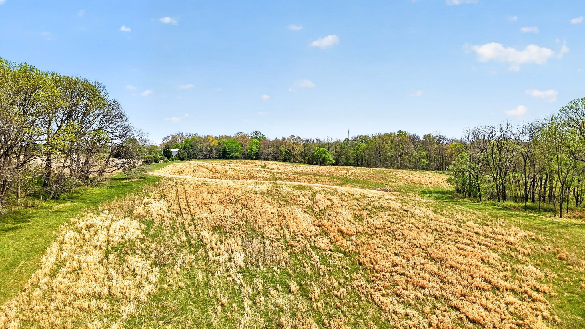 0 Empson Road White House, TN 37188 - Photo 7 of 16 Gallery Image 7
