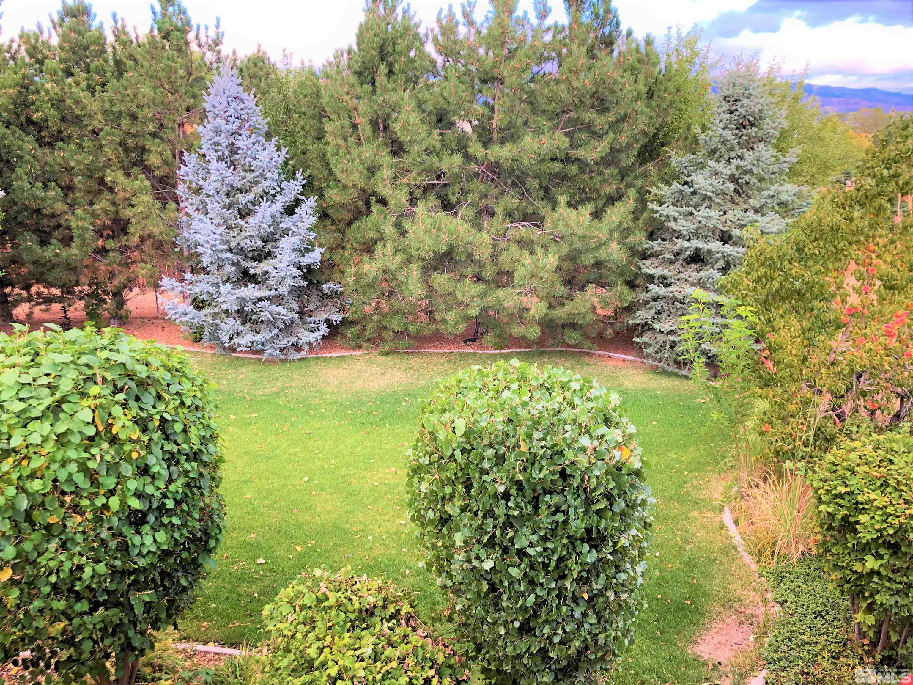 15135 Sylvester Road Reno, NV 89521 - Photo 25 of 34 a view of a garden with a building