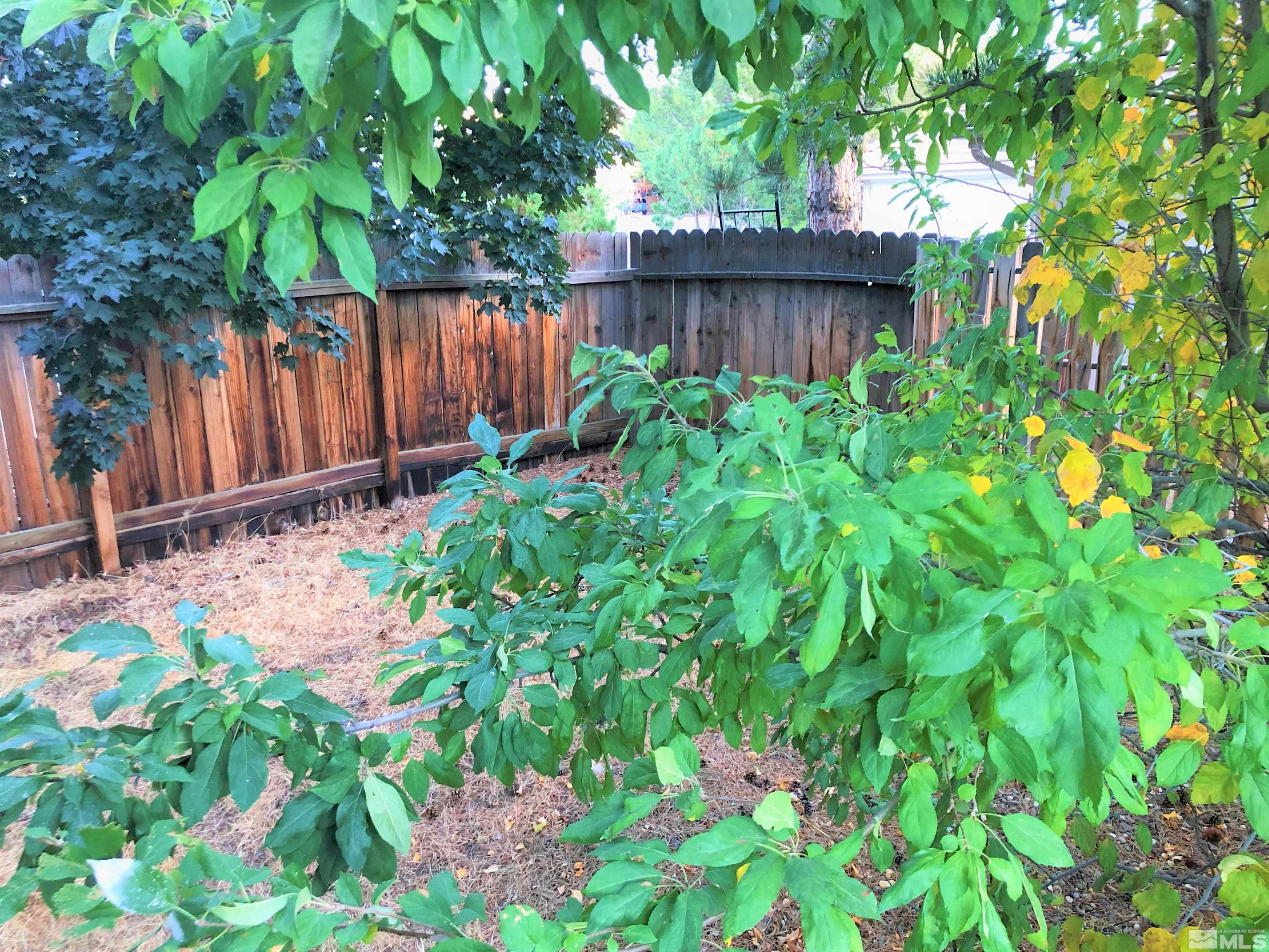 15135 Sylvester Road Reno, NV 89521 - Photo 27 of 34 a view of a garden with plants