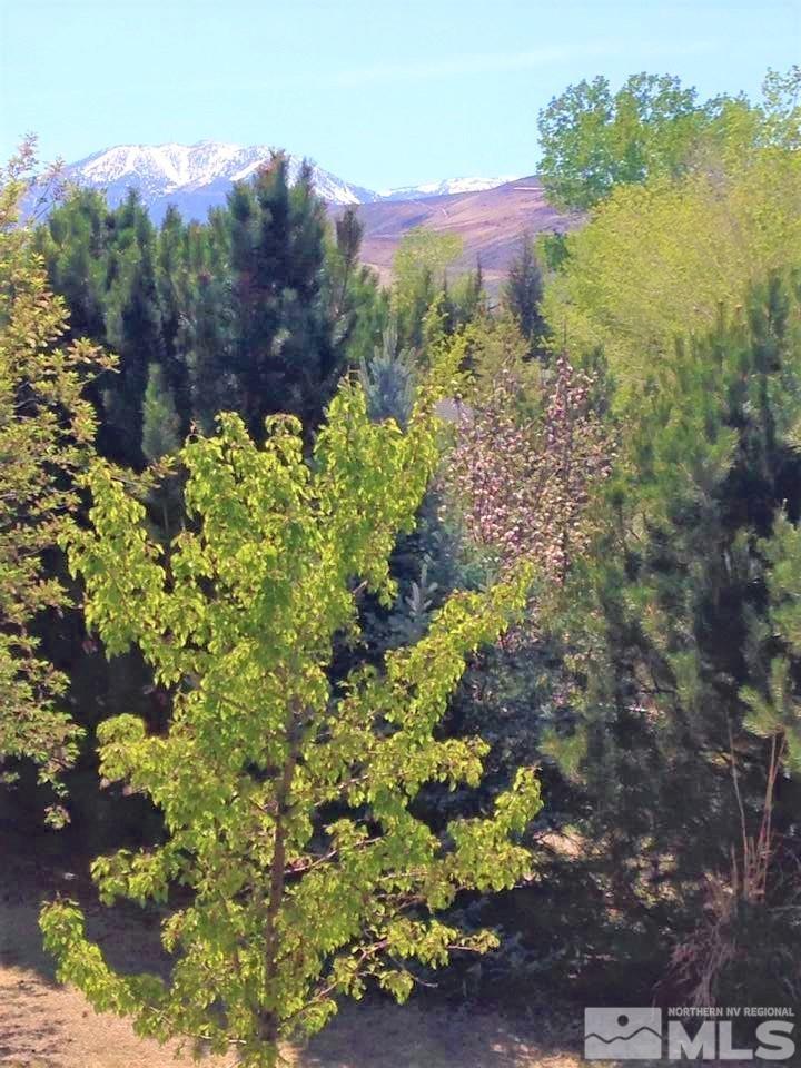 15135 Sylvester Road Reno, NV 89521 - Photo 28 of 34 a view of a bunch of flowers