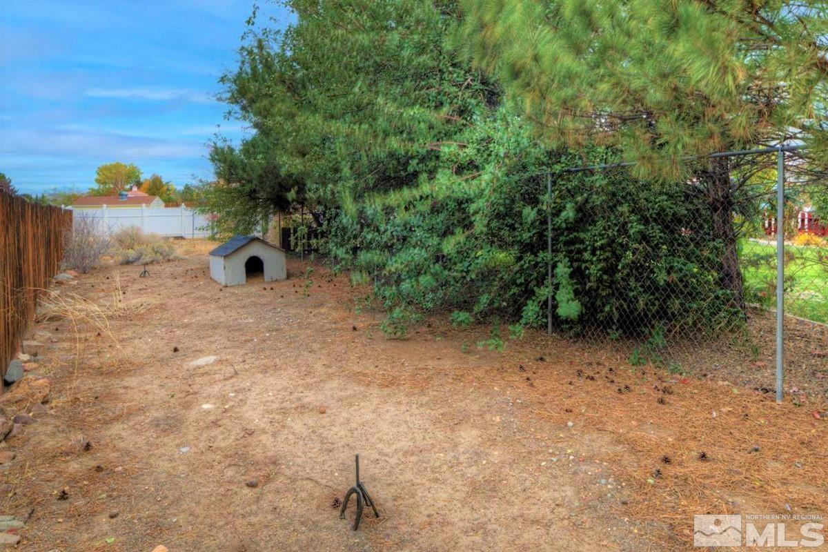 15135 Sylvester Road Reno, NV 89521 - Photo 29 of 34 a view of a dry yard with a tree