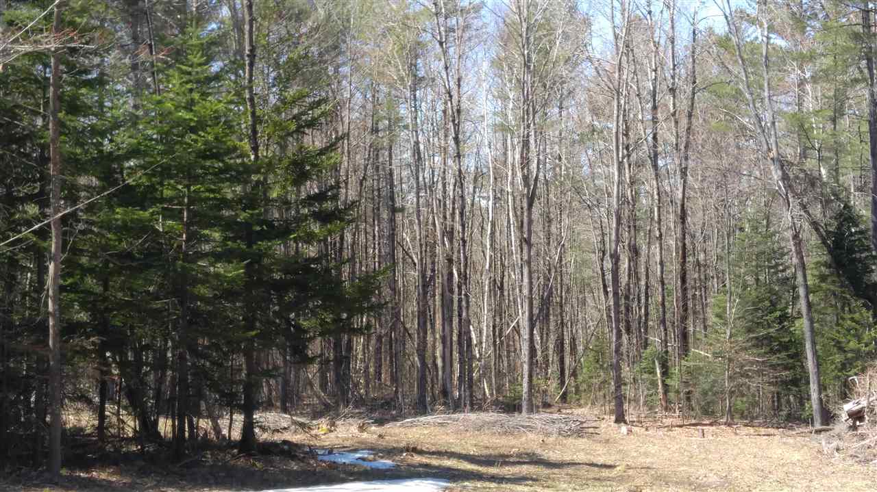 164 Bowman Road Springfield, NH 03284 - Photo 1 of 3