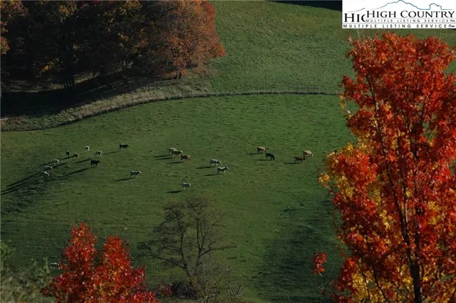 $119,500 | 76 Majestic View Circle Boulevard, Sparta, NC 28675