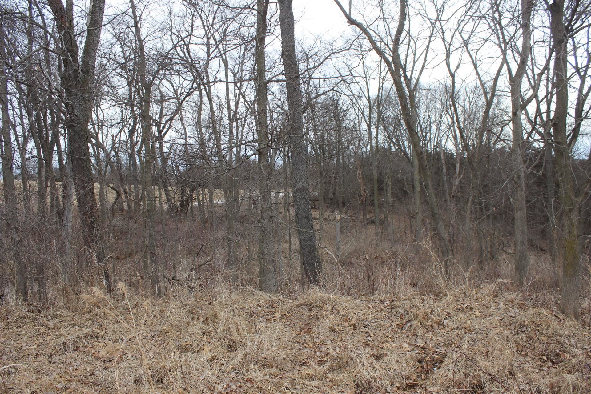 0 484th Avenue Baldwin, IA 52207 - Photo 9 of 15 Gallery Image 9