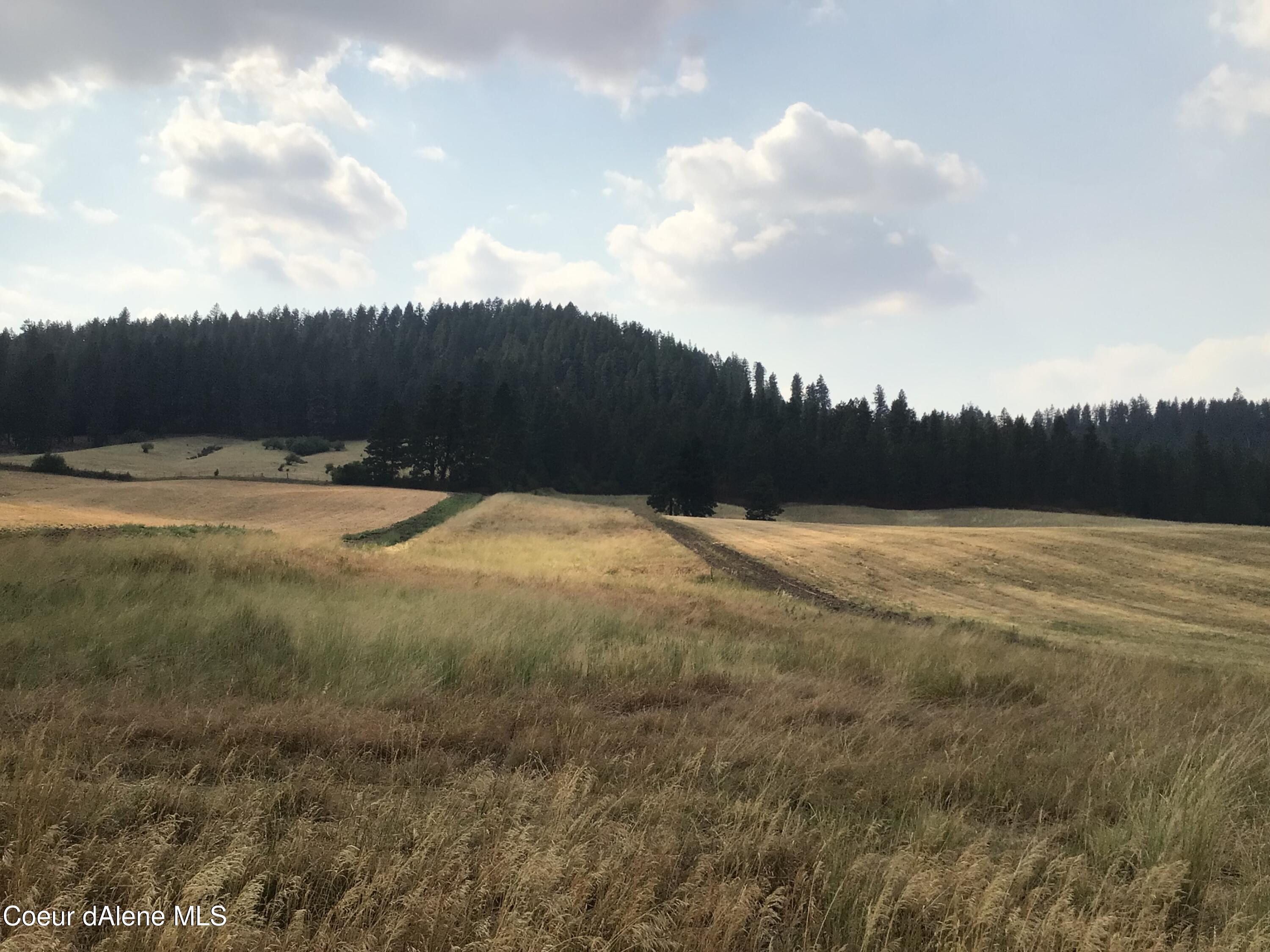 Nka South Senkler Road Worley, ID 83876 - Photo 1 of 1 IMG_0120
