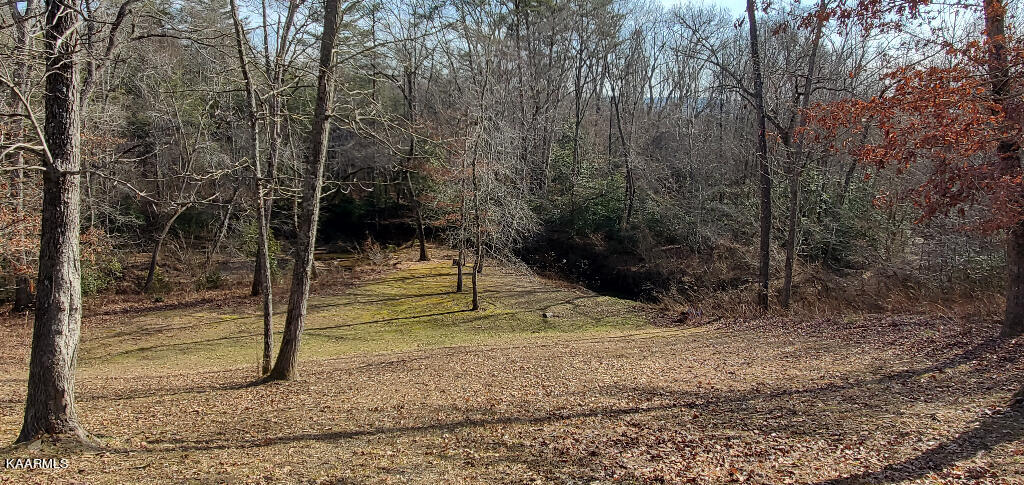 907 Clint Lowe Road Crossville, TN 38572 - Photo 6 of 42 05