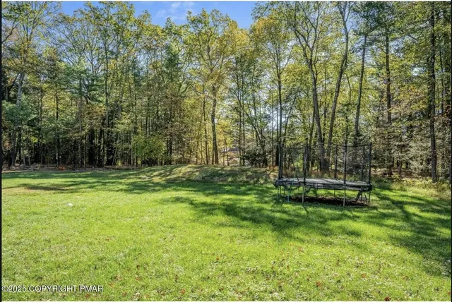 a view of a field with trees in the background