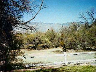 2805 North Indian Ruins Road Tucson, AZ 85715 - Photo 5 of 5